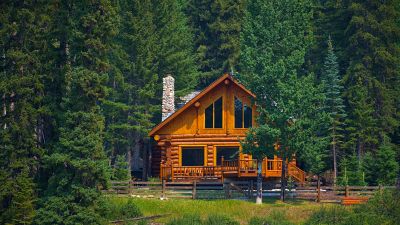 Log Home Refinishing
